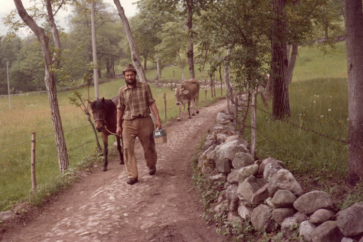 Guali (Berzo Inferiore) 1985